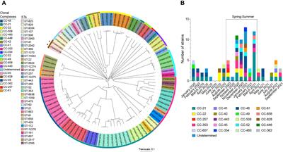 Whole-genome sequencing reveals changes in genomic diversity and distinctive repertoires of T3SS and T6SS effector candidates in Chilean clinical Campylobacter strains